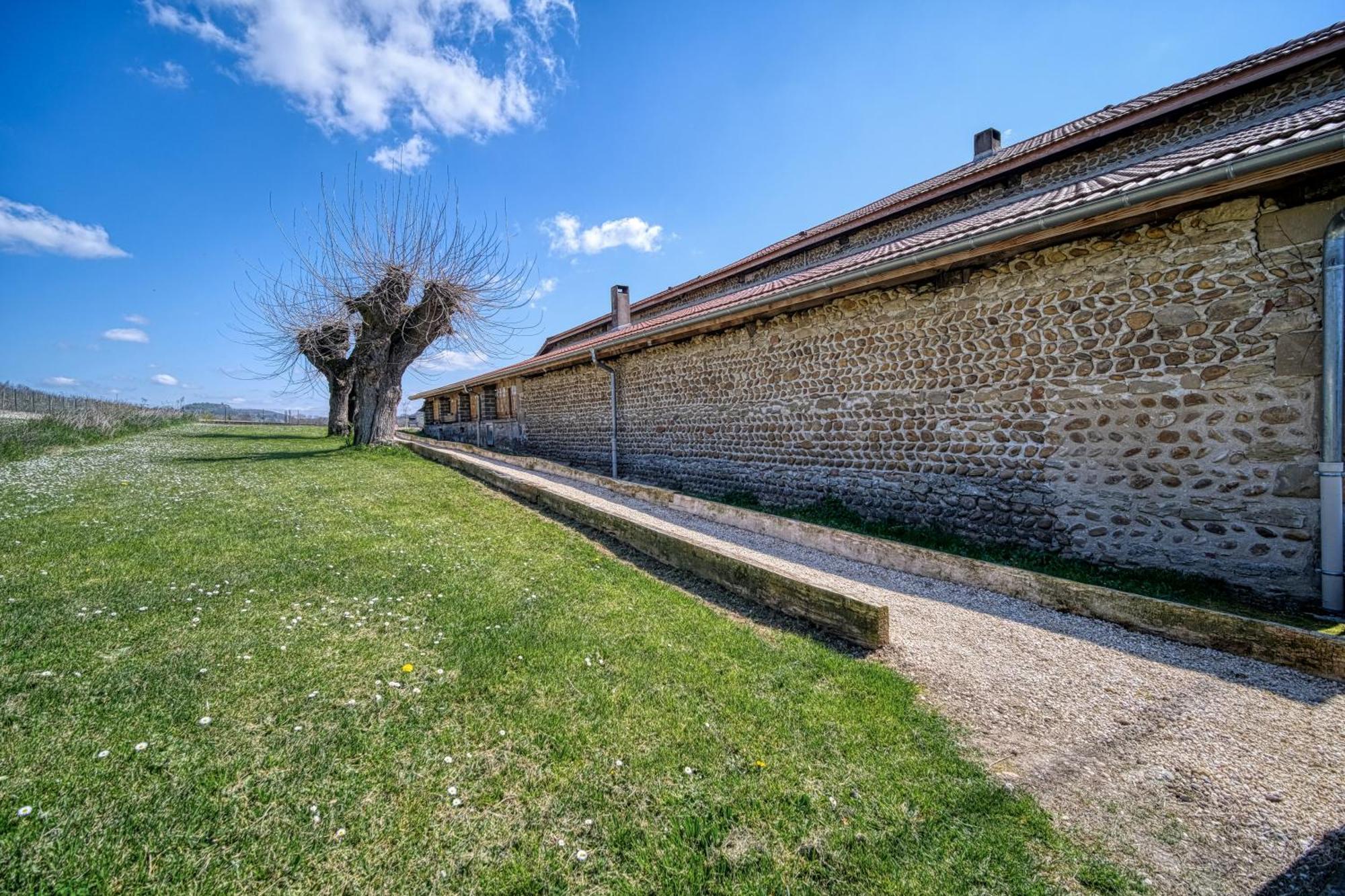 Maison Michonieres - Gite 3 Etoiles - 8 Personnes Miribel  Eksteriør billede